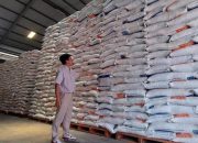 Pemerintah Percepat Pembangunan 100 Gudang Bulog Serap Gabah dan Jagung.