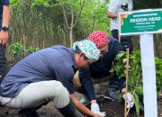 PTPN I Regional V Tanam Perdana Kopi Arabika di Bondowoso, Dukung Republik Kopi Ijen