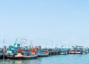 Rp 2 Triliun Diincar! Indonesia Buka Keran Investasi Laut Terbesar Tahun Ini