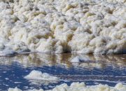 Laut Suramadu Penuh Busa, DLH Surabaya Pastikan Berasal dari Limbah Rumah Tangga