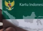 Penonaktifan Massal BPJS PBI Tuai Sorotan, PDI Perjuangan Desak Reaktivasi