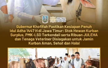 Gubernur Khofifah Soroti Kesiapan Hewan Kurban, Pastikan Stok Surplus di Idul Adha 1447 H