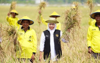 Antisipasi Kemarau 2026, Khofifah Instruksikan Kepala Daerah Jaga Produksi Pertanian Jatim