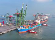 Kinerja PT Terminal Teluk Lamong Tumbuh 4,5% di Kuartal I 2026, Arus Petikemas Tembus 694 Ribu TEUs