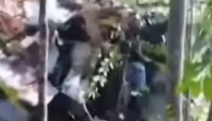 SAR Temukan Ekor Helikopter Hilang Kontak, Evakuasi Terkendala Medan