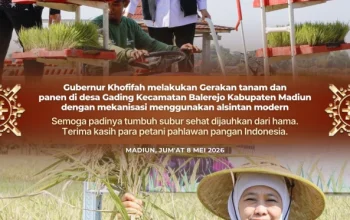 Gubernur Khofifah Serahkan Bantuan Alsintan saat Gerakan Panen di Kabupaten Madiun