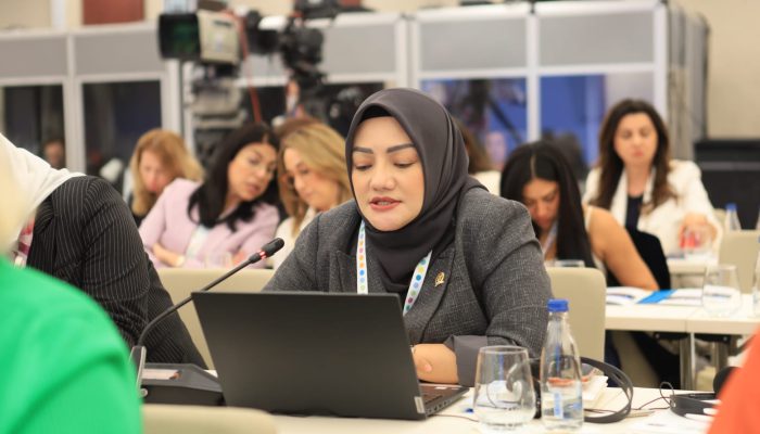 Adde Rosi Tegaskan Pentingnya Perspektif Gender dalam Fungsi Legislasi DPR