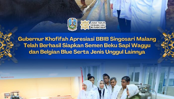 BBIB Singosari Penuhi 70 Persen Kebutuhan Semen Beku Nasional,Gubernur  Khofifah Beri Apresiasi Tinggi