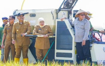 Gubernur Khofifah Apresiasi Petani Jatim Usai Produksi Padi Tertinggi Se-Indonesia