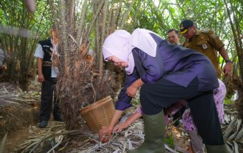 Gubernur Khofifah Dorong Salak Madu Wonoagung Jadi Komoditas Unggulan Hortikultura Jawa Timur