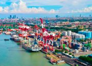 Terminal Teluk Lamong Perkuat Daya Saing Logistik Nasional, Throughput Semester I Meningkat Signifikan