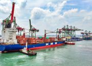 TPK Teluk Lamong Jadi Motor Pertumbuhan, Throughput Naik 23,6 Persen