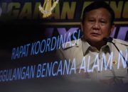 Kritik Warganet soal Ring of Fire, Perlu Bedakan Bencana Geologi dan Karhutla